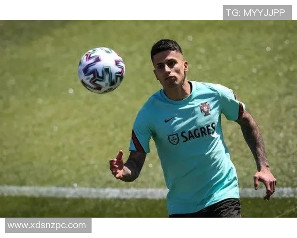 探索本命足球明星软件的功能与体验，助你找到最适合的球员搭档