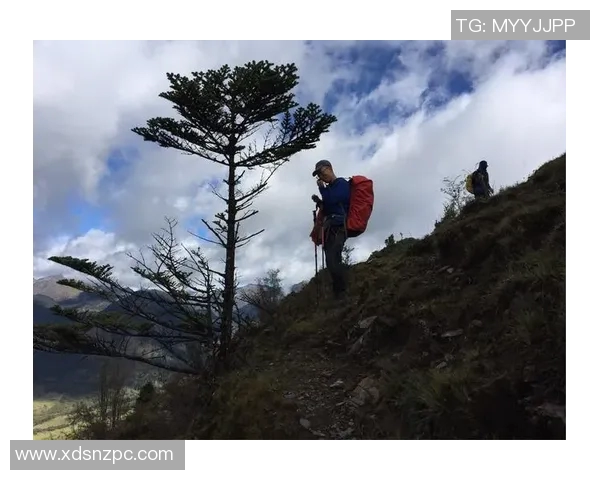 斯通斯的传奇之旅：从摇滚乐坛到文化象征的演变与影响