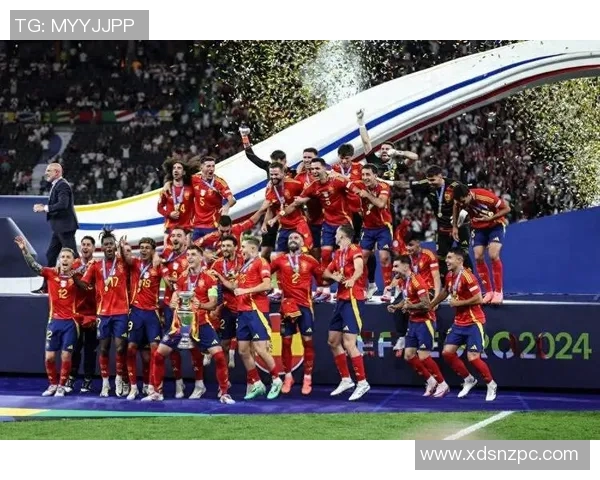 2014年欧洲杯精彩赛程与最终结果全览